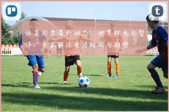 体育彩票最新动态：世界杯竞彩暂停，专家解读重启时间与趋势