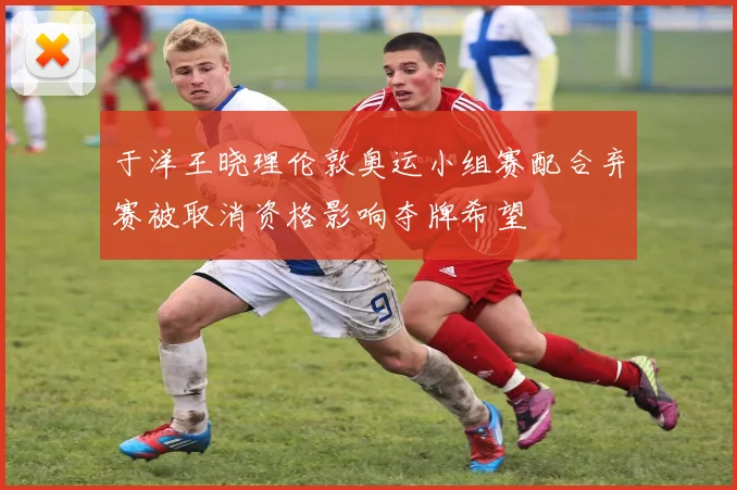 于洋王晓理伦敦奥运小组赛配合弃赛被取消资格影响夺牌希望